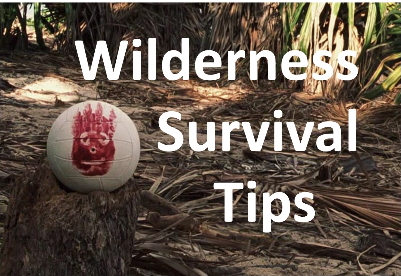 wilson, wilderness survival